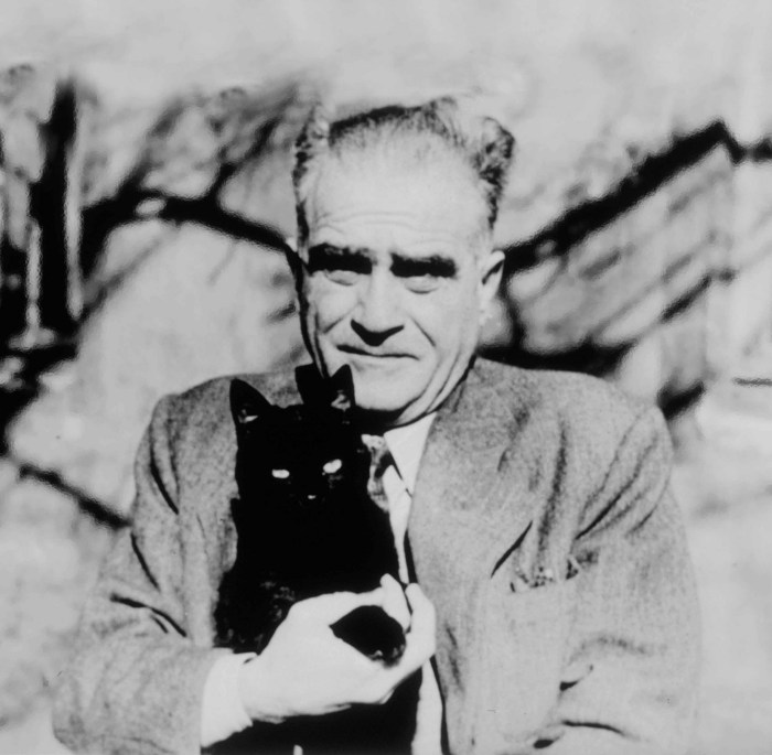 ahmet hamdi tanpinar ve kedi