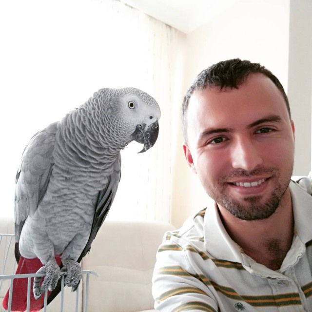 onur sendere ve papagani saskin